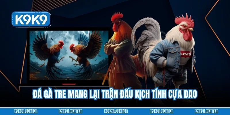 Đá gà tre mang lại trận đấu kịch tính